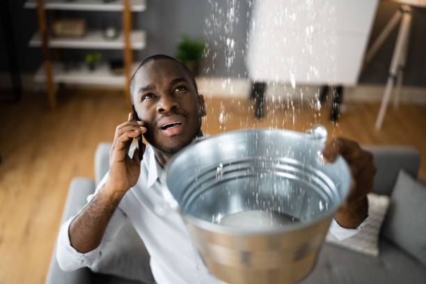 Best Professional water damage repair  in Skyline Acres, OH