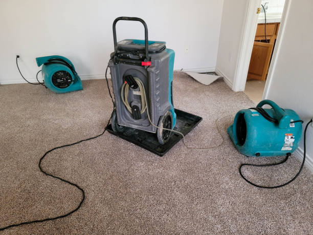Best Flood damage cleanup  in Skyline Acres, OH