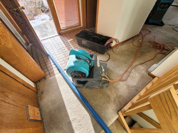 Best Water damage restoration specialists  in Skyline Acres, OH
