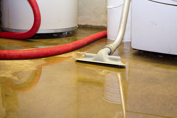 Best Water damage restoration specialists  in Skyline Acres, OH