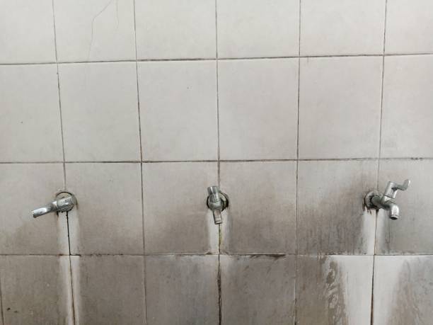 Best Ceiling water damage repair  in Skyline Acres, OH