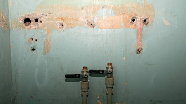 Best Commercial water damage restoration  in Skyline Acres, OH