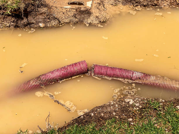 Best Water damage restoration process  in Skyline Acres, OH