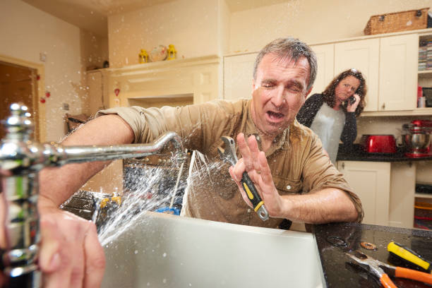 Best Water damage cleanup near me  in Skyline Acres, OH
